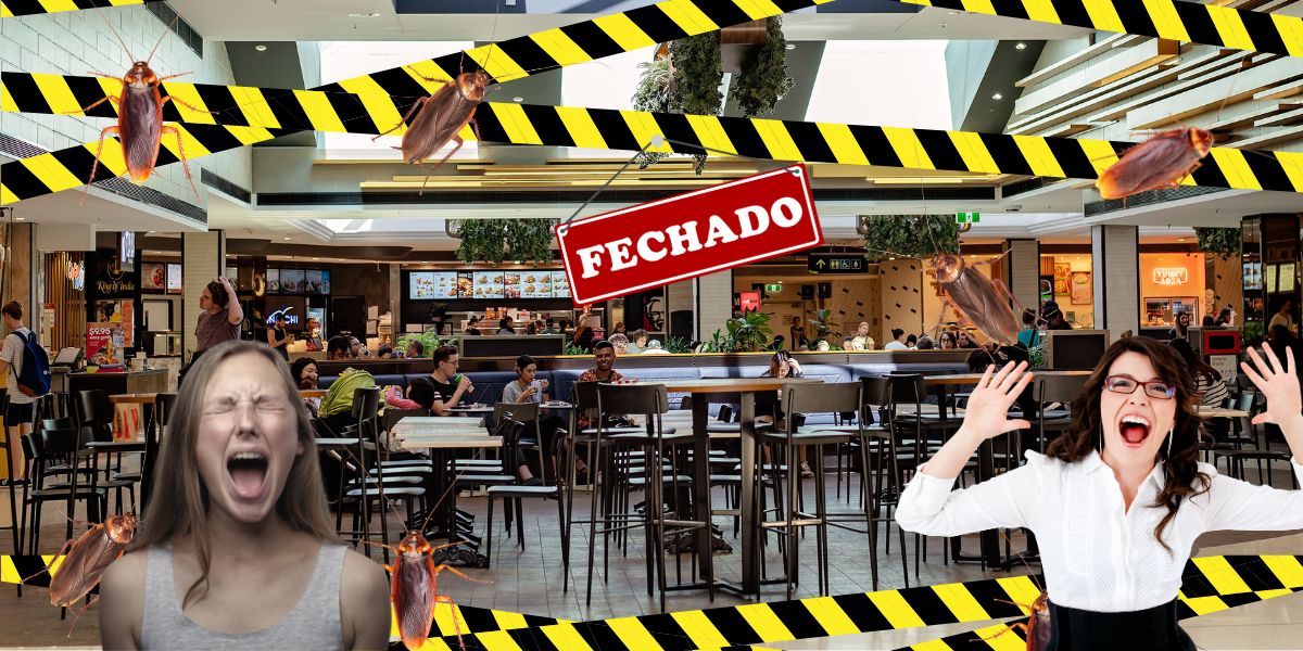 Restaurantes fechados após baratas e gritraria - Foto Reprodução Internet