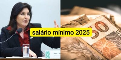 Tebet anuncia valor do salário mínimo 2025 (Foto: Reprodução/ Internet)