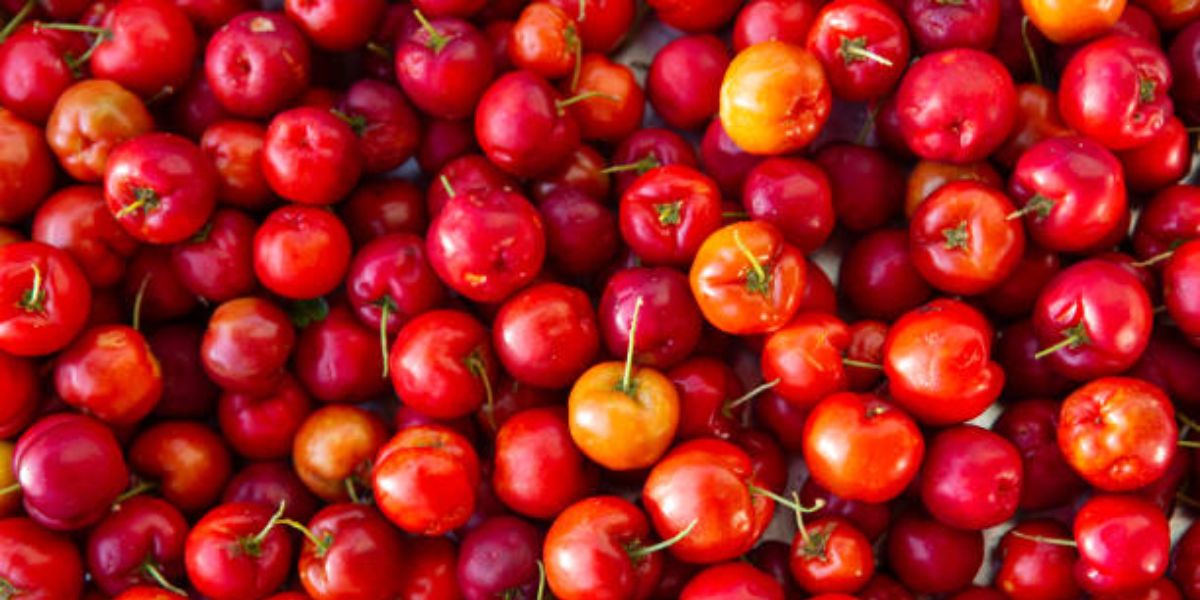 Acerola é rica em Vitamina C (Reprodução: Internet)