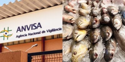 Anvisa fez proibição contra marca de peixe (Foto: Reprodução/ Internet)