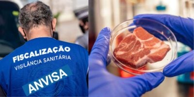 Anvisa decretou a proibição de 3 marcas de carne (Foto: Internet)