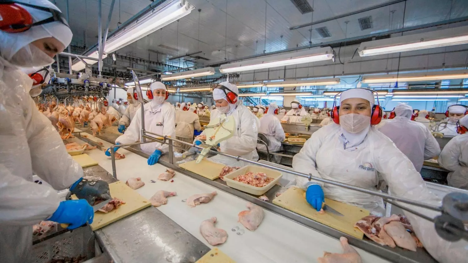 Chapecó Companhia Industrial de Alimentos foi a falência (Foto: Reprodução/ Internet)