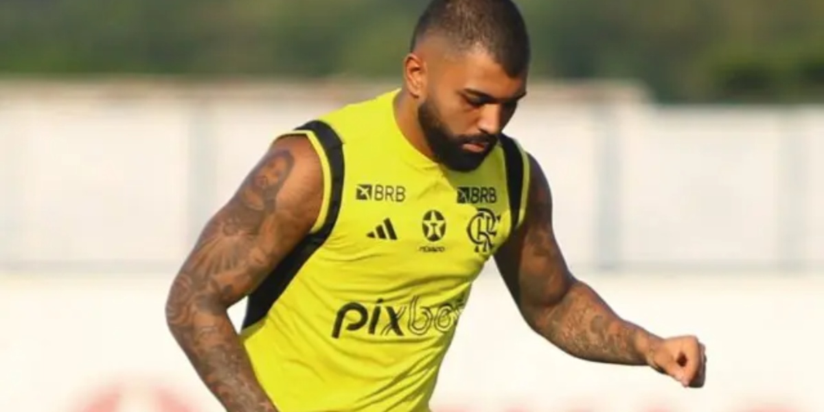 Gabigol - (Foto: Reprodução / Internet)