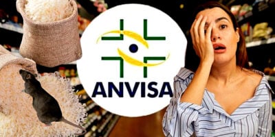 ANVISA proibiu marca de arroz após encontrar pelos de roedores entre outros fragmentos (Foto Reprodução/Montagem/Lennita/Tv Foco/ANVISA/Canva)