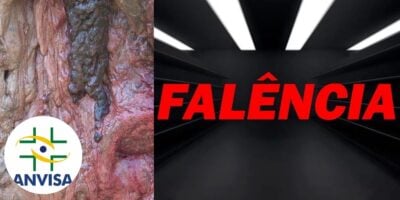 Carne podre, logo da Anvisa e imagem de falência (Fotos: Reproduções / Canva / Internet / TV Foco / Montagem)