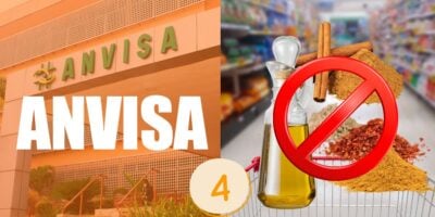 Anvisa e marcas de temperos retiradas dos mercados (Foto: Reprodução / Canva / Montagem TV Foco)