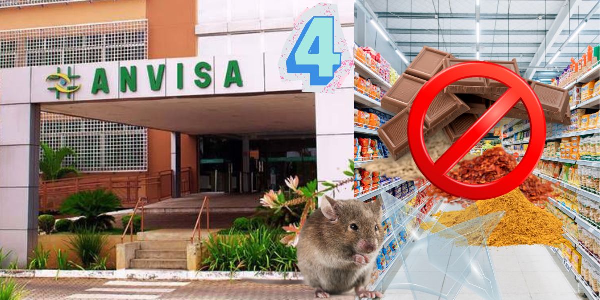 Fachada da Anvisa e corredor de supermercado com marcas de chocolate e tempero (Foto: Reprodução / Canva)