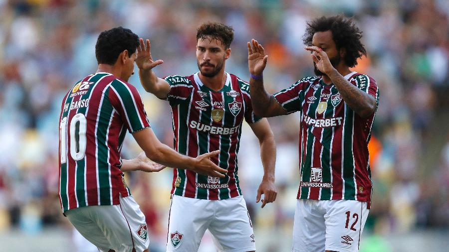 Jogadores do Fluminense (Foto Reprodução/MARCELO DE JESUS/MDJPHOTOS/ESTADÃO CONTEÚDO)