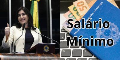 Tebet confirma lei que atinge o salário mínimo em cheio (Reprodução: Montagem TV Foco)