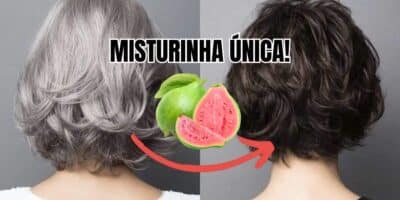 Mistura com goiaba +3 ingredientes escurece o cabelo branco (Reprodução/Montagem/Canva)