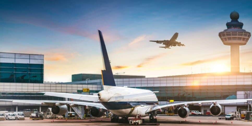 Aeroportos ficariam proibidos em não ter um veterinário atuando nos locais (Foto: Reprodução/ Internet)