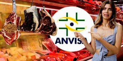 ANVISA interditou 5 açougues após cenário de horror em meio a 10 toneladas de carne podre e + (Foto Reprodução/Montagem/Lennita/TV Foco/Canva/Pinterest/Metrópoles)