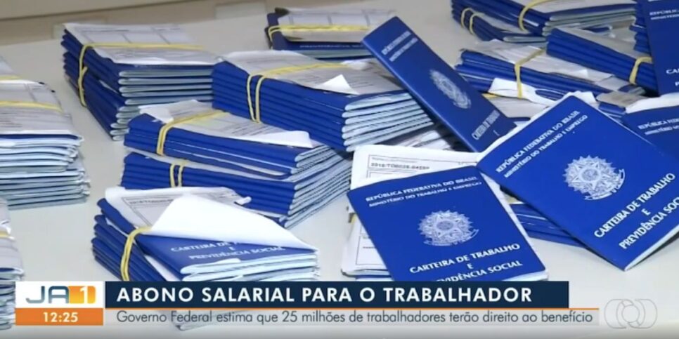 Carteira de trabalho (Foto: Reprodução / Globo)