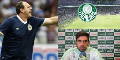 Palmeiras - Montagem Tv Foco