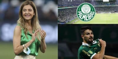 Palmeiras - Montagem Tv Foco