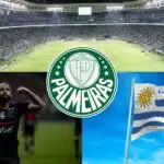 Palmeiras - Montagem Tv Foco