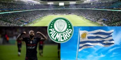 Palmeiras - Montagem Tv Foco