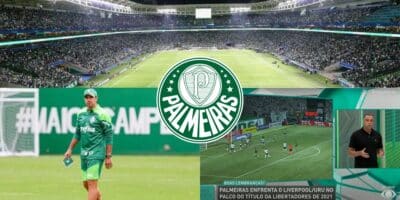 Palmeiras - Montagem Tv Foco