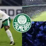 Palmeiras - Montagem Tv Foco