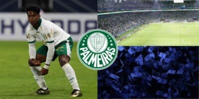 Palmeiras - Montagem Tv Foco