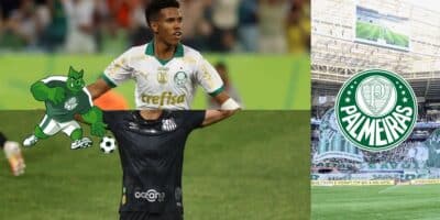 Palmeiras - Montagem Tv Foco