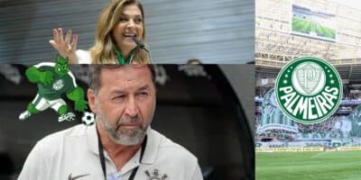 Palmeiras - Montagem Tv Foco