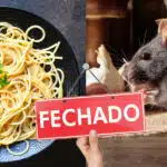 Rato morto é encontrado em macarrão de restaurante tradicional (Foto: Reprodução, Montagem - TV Foco)