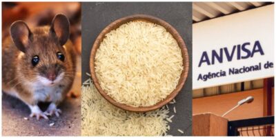 Imagem do post Fezes de rato e risco à saúde: Anvisa decreta proibição de marca de arroz, arranca dos mercados e situação HOJE (02)