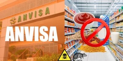 Anvisa e marcas de molho, tempero e leite tiradas dos supermercados (Foto: Reprodução / Canva / Montagem TV Foco)