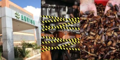 Ordem da ANVISA pra lacrar 4 restaurantes - Foto: Montagem