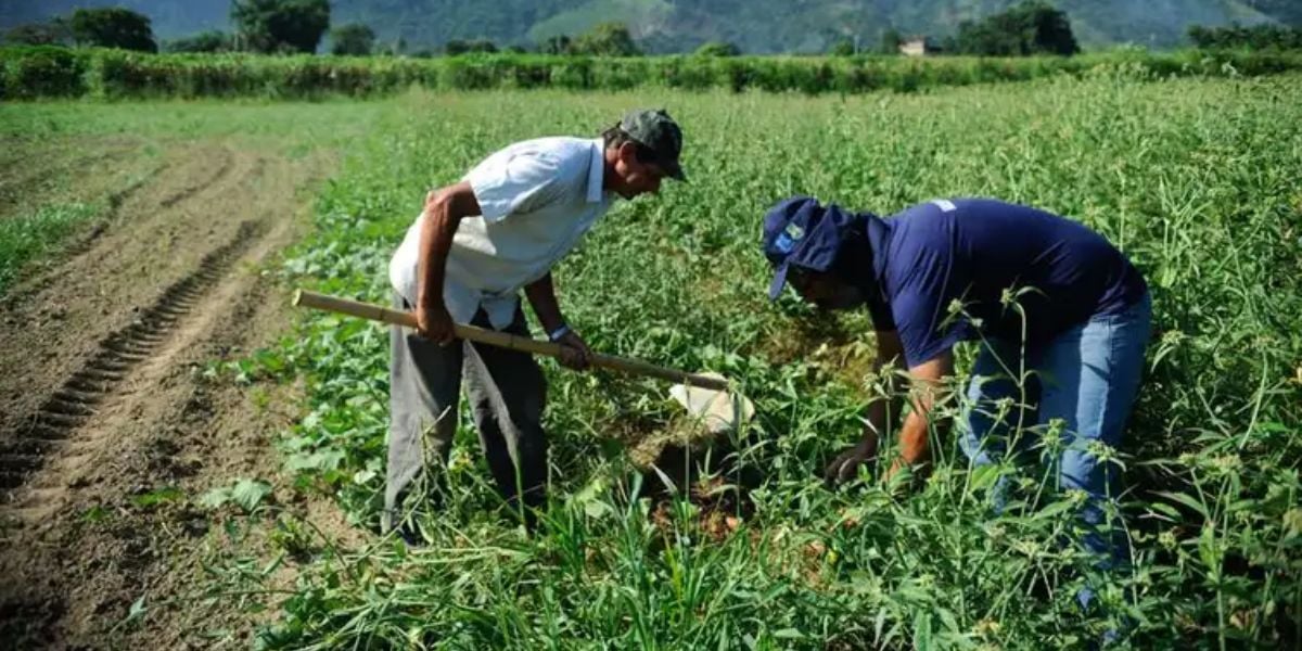 INSS, Aposentadoria Rural