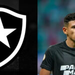 Botafogo vai atrás de dupla para Tiquinho (Foto: Divulgação)