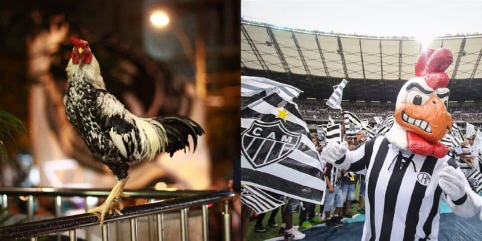 Galo, mascote do Atlético-MG - (Foto: Reprodução / Internet)