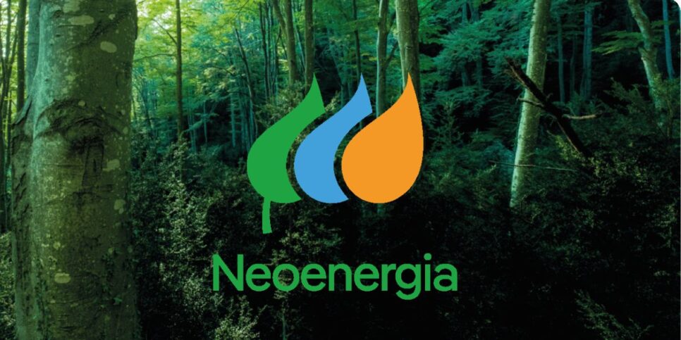 Neoenergia voltou com uma das promoções mais desejadas (Reprodução: Internet)