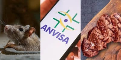 A interdição da Anvisa após encontrar rato, nojeira e carne podre (Foto: Divulgação)