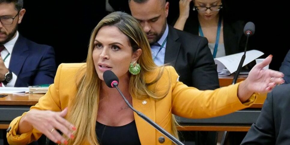 Silvye Alves acusou Gustavo de fake news (Reprodução: Câmara dos Deputados)