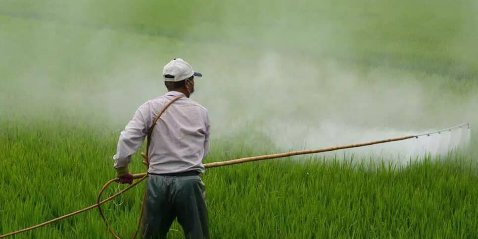 Uso de agrotóxicos em plantações (Foto: Politizei!)