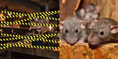 Imagem do post Rato morto na comida e gritaria: O fechamento urgente de restaurante aclamado por flagra fatal da Vigilância