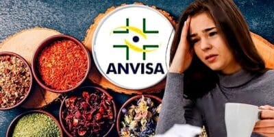 ANVISA proibiu 8 chás populares após apresentarem riscos  (Foto Reprodução/Montagem/Lennita/Tv Foco/Canva/Sadia/Freepik)