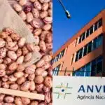 Anvisa proíbe venda de 2 marcas de feijão devido a risco à saúde (Foto: Reprodução/ Internet)