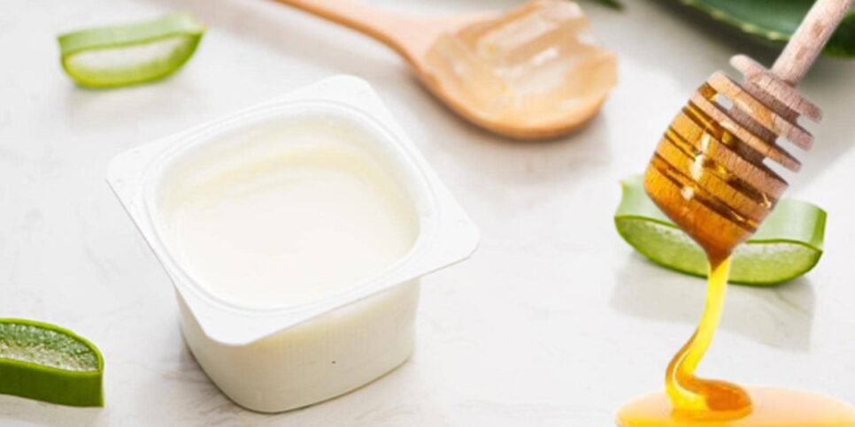 Babosa, mel e iogurte para eliminar as rugas (Foto: Reprodução/ Internet)
