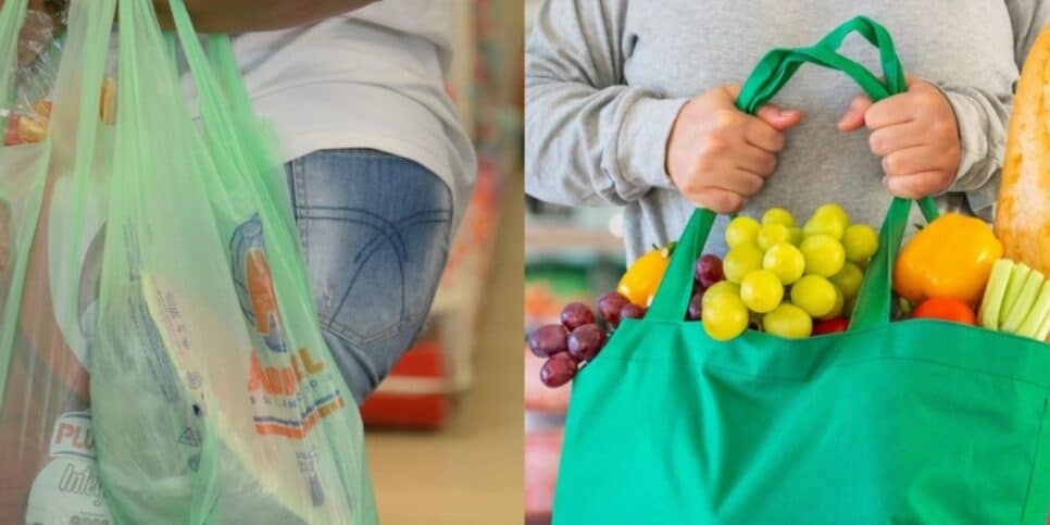 Em Salvador, mais de 190 comércios terão que se adequar a nova lei que proíbe o uso das sacolas plásticas  (Foto: Reprodução/ Internet)