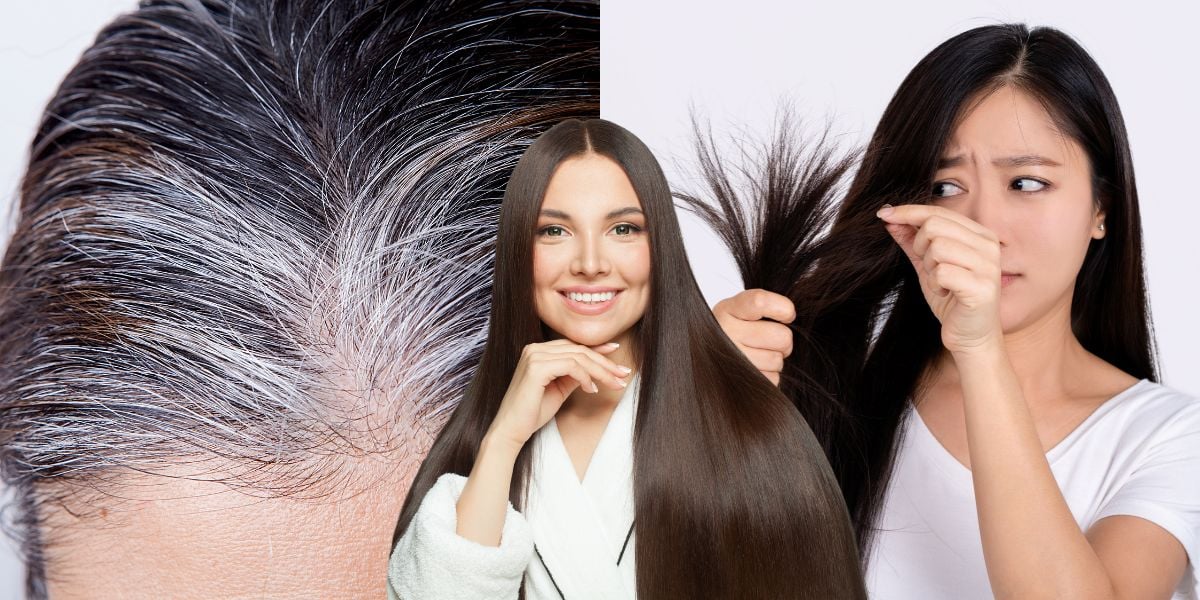 Fim do cabelo branco nas mulheres - Foto Reprodução Internet