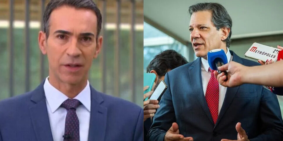 Haddad - Tralli - Salário Mínimo (Foto: Reprodução, Montagem - TV Foco)