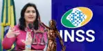 INSS - Lei - Ministra Tebet (Foto: Reprodução, Montagem - TV Foco)