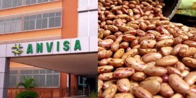 Marca de feijão tem venda proibida com urgência pela Anvisa (Foto: Reprodução/ Internet)