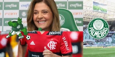 Palmeiras - Montagem Tv Foco