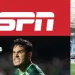 Palmeiras - Montagem Tv Foco