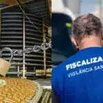 Vigilância Sanitária acaba de lacrar fábrica popular de doces (Reprodução/Montagem/Canva)