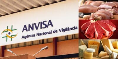 Anvisa fez proibição contra carne, frango e queijo (Foto: Reprodução/ Internet)